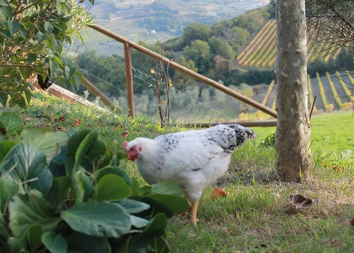 Agriturismo Il Poderuccio
