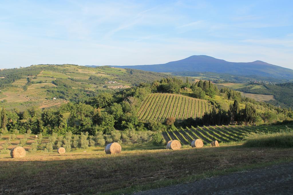 Il Poderuccio Castiglione dʼOrcia